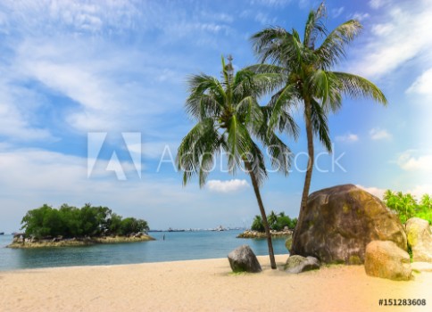 Bild på Singapore travel - Beach with palm tree in Sentosa island